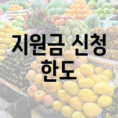 지원금 신청 한도
