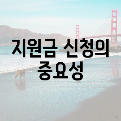 지원금 신청의 중요성