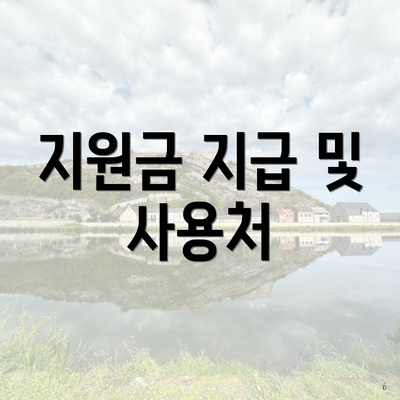 지원금 지급 및 사용처