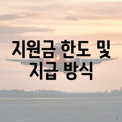 지원금 한도 및 지급 방식
