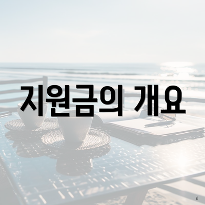 지원금의 개요
