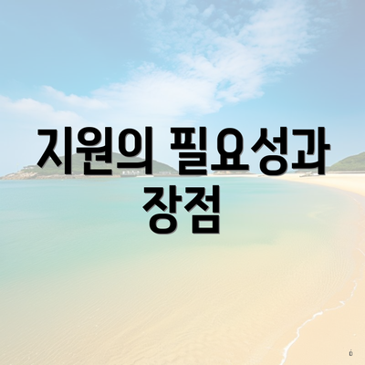 지원의 필요성과 장점