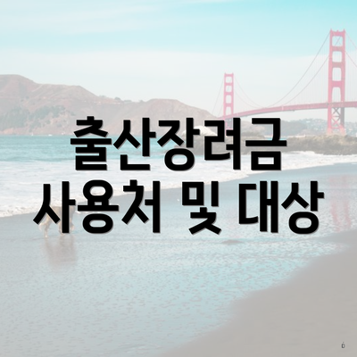 출산장려금 사용처 및 대상