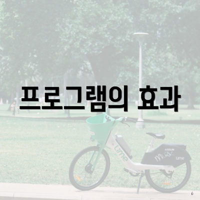 프로그램의 효과
