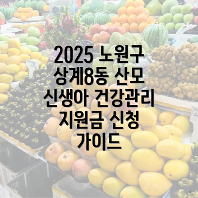 2025 노원구 상계8동 산모 신생아 건강관리 지원금 신청 가이드