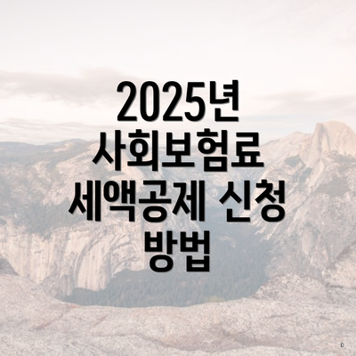 2025년 사회보험료 세액공제 신청 방법