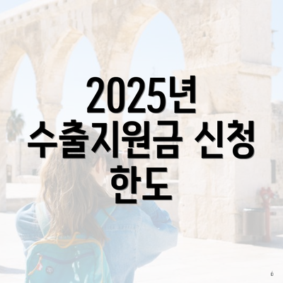 2025년 수출지원금 신청 한도