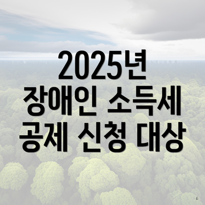 2025년 장애인 소득세 공제 신청 대상