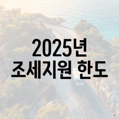 2025년 조세지원 한도