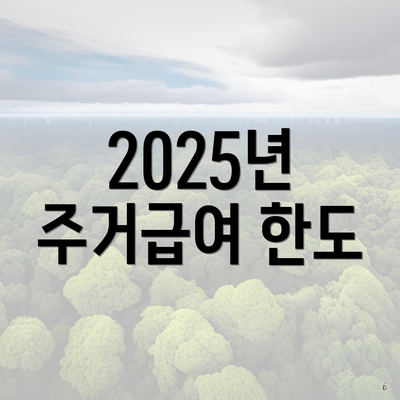 2025년 주거급여 한도