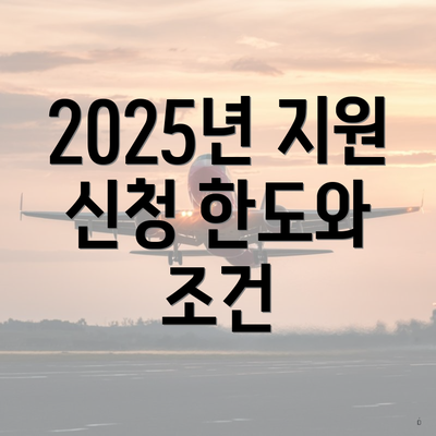 2025년 지원 신청 한도와 조건