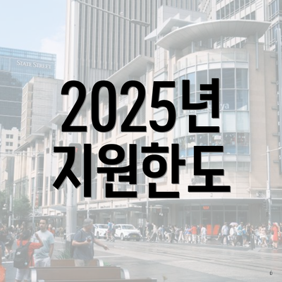 2025년 지원한도