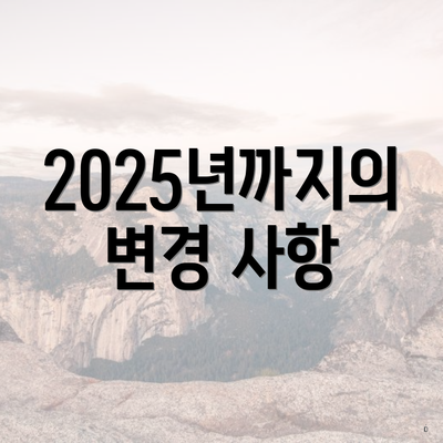 2025년까지의 변경 사항