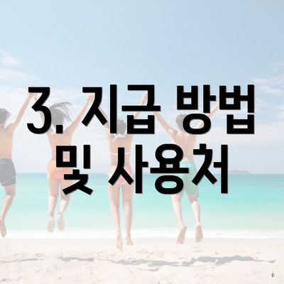 3. 지급 방법 및 사용처