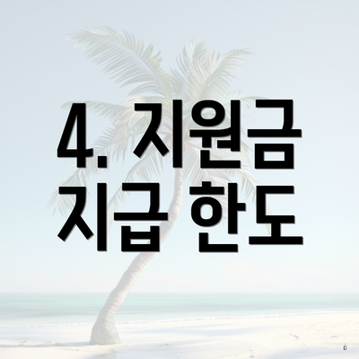 4. 지원금 지급 한도