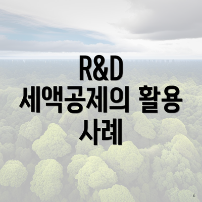 R&D 세액공제의 활용 사례