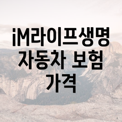 iM라이프생명 자동차 보험 가격