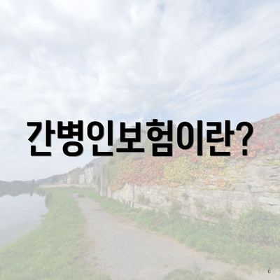 간병인보험이란?