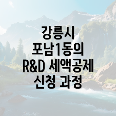 강릉시 포남1동의 R&D 세액공제 신청 과정