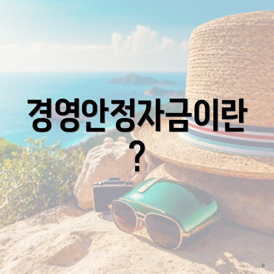 경영안정자금이란?