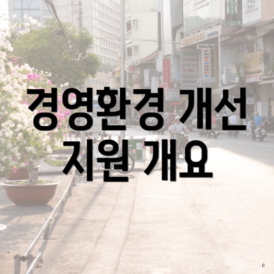 경영환경 개선 지원 개요