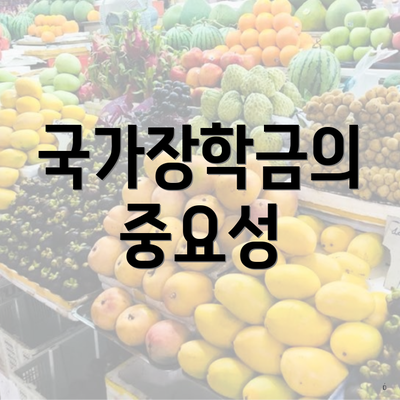 국가장학금의 중요성