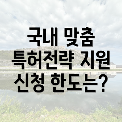 국내 맞춤 특허전략 지원 신청 한도는?