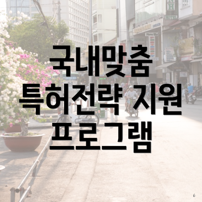 국내맞춤 특허전략 지원 프로그램