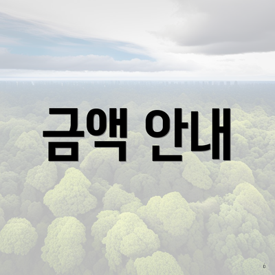 금액 안내