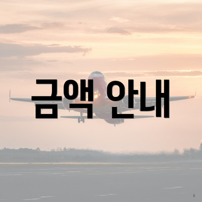 금액 안내