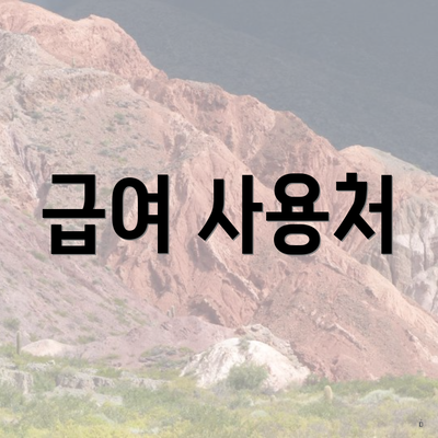 급여 사용처