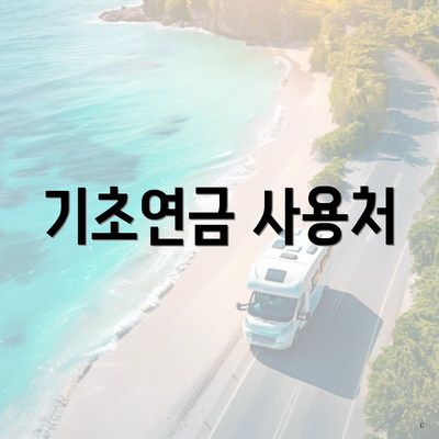 기초연금 사용처