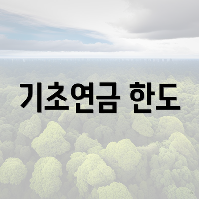 기초연금 한도