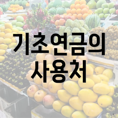 기초연금의 사용처