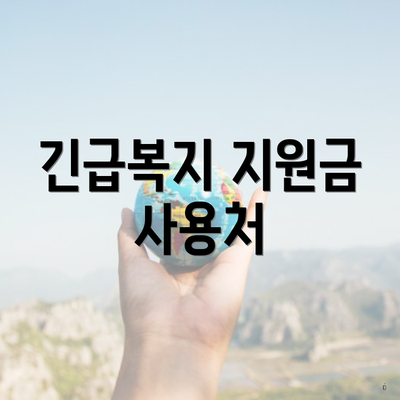 긴급복지 지원금 사용처