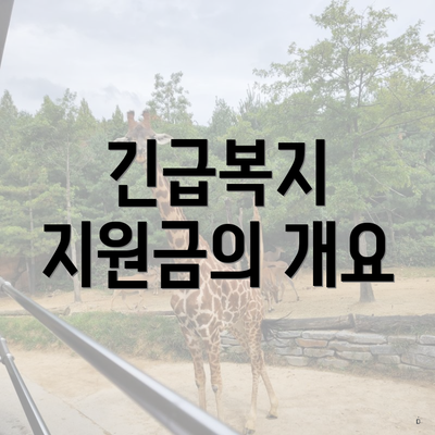 긴급복지 지원금의 개요