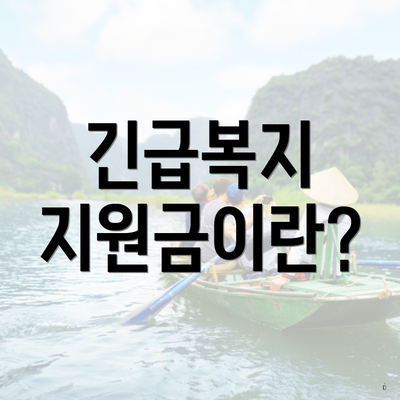 긴급복지 지원금이란?