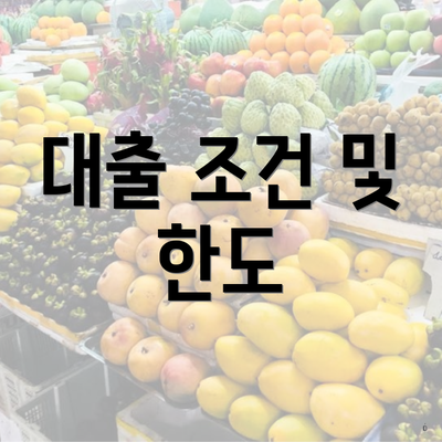 대출 조건 및 한도