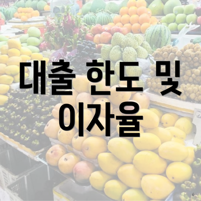 대출 한도 및 이자율