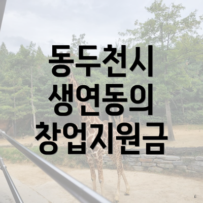 동두천시 생연동의 창업지원금