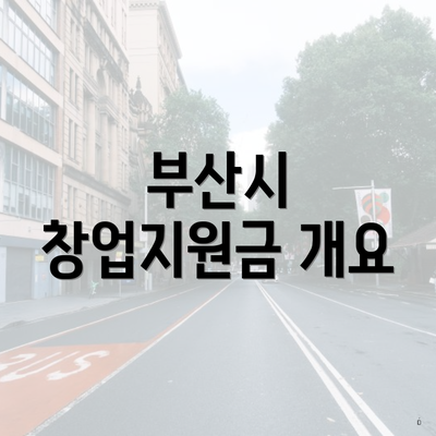 부산시 창업지원금 개요