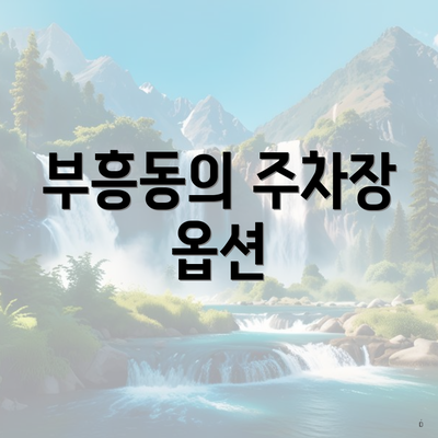 부흥동의 주차장 옵션