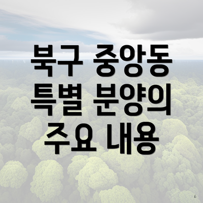 북구 중앙동 특별 분양의 주요 내용