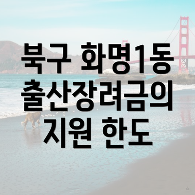 북구 화명1동 출산장려금의 지원 한도
