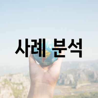 사례 분석