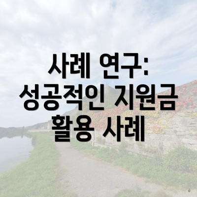 사례 연구: 성공적인 지원금 활용 사례