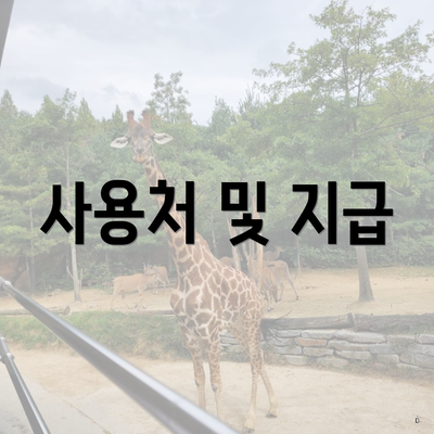사용처 및 지급