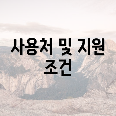 사용처 및 지원 조건