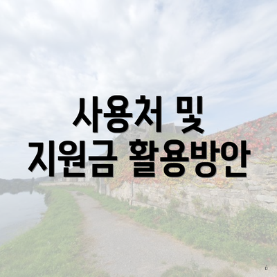사용처 및 지원금 활용방안