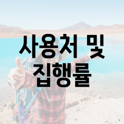 사용처 및 집행률